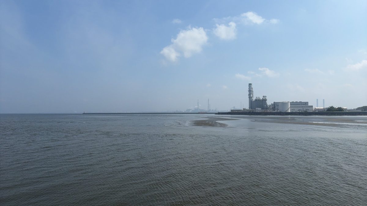 養老川河口の全景。東京湾に注ぐ汽水域で潮の干満の影響を大きく受ける