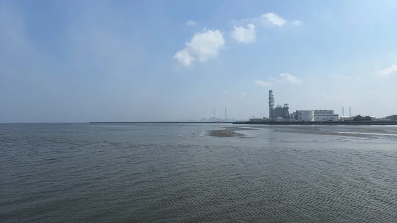 陸釣り場ポイント（養老川河口など）